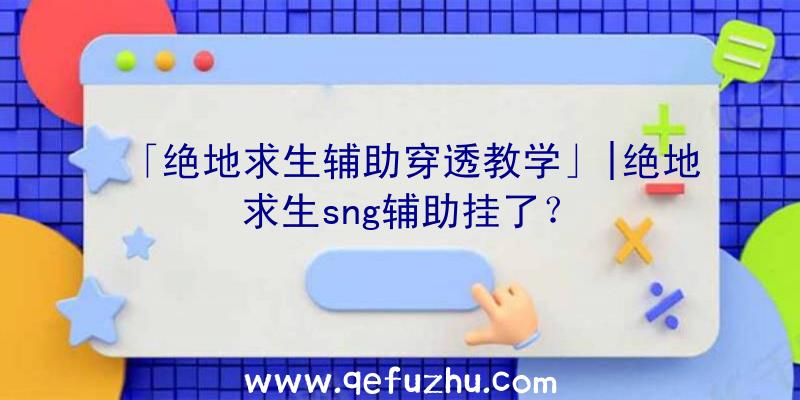 「绝地求生辅助穿透教学」|绝地求生sng辅助挂了？